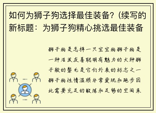 如何为狮子狗选择最佳装备？(续写的新标题：为狮子狗精心挑选最佳装备攻略)